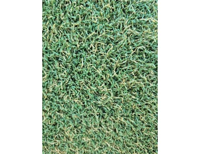 Artificial Turf Clearance (A1004) - Lot 36