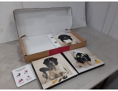 Unclaimed Freight (GCA995) - Lot 437