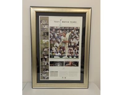 Mancave & Memorabilia (A1001) - Lot 801