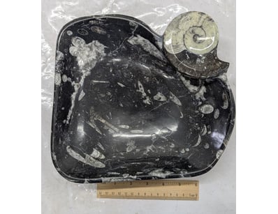 The Curio Collection (A999) - Lot 586