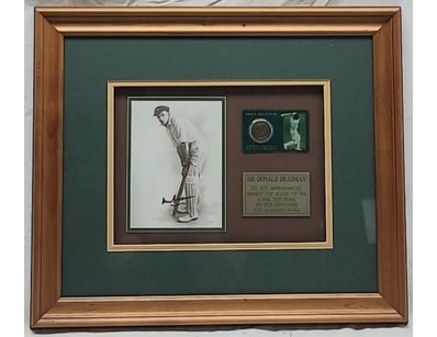 SINGLE VENDOR LIFETIME COLLECTION (A1001) - Lot 813