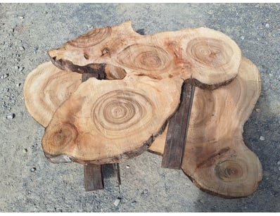 Hardwood Timber Slabs (ON4481) - Lot 29