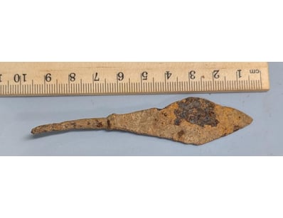 The Curio Collection (A991) - Lot 516