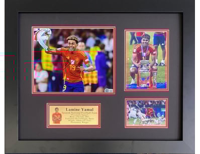 Mancave & Memorabilia (A1005) - Lot 1109