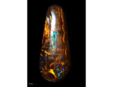 49 CARATS OPALTON BOULDER OPAL. FIRE REDS AND ELEC...
