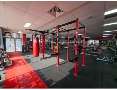 Gym Equipment Liquidation (ON11749) - Lot 88