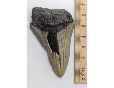 Antiques, Vintage & Interior Treasures (A1006) - Lot 8012