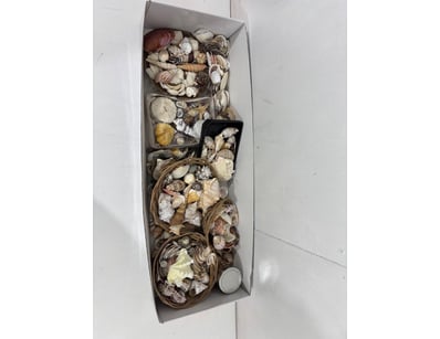 Sport, Leisure & Lifestyle (VICA982) - Lot 3096