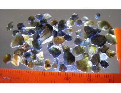 40CT NATURAL ROUGH NSW SAPPHIRES       

 


 

 
...