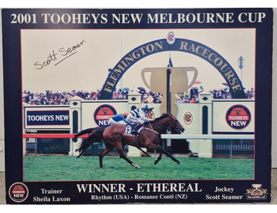 2001 TOOHEYS NEW MELBOURNE CUP WINNER ETHEREAL SIG...