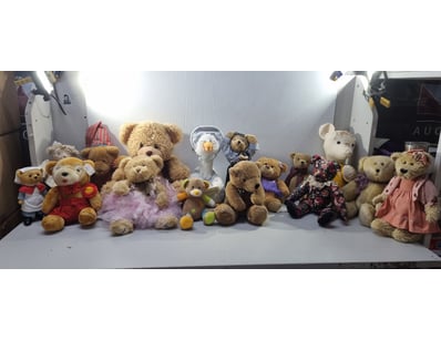 SA Public Trustee Home & Collectables Clearanc... - Lot 4042