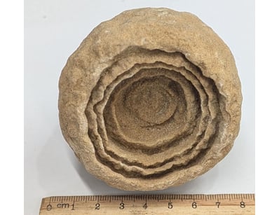 The Curio Collection (A991) - Lot 509