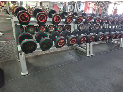 Gym Equipment Liquidation (ON11749) - Lot 40