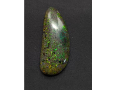 29.69CT ANDAMOOKA MATRIX OPAL


997491+12


