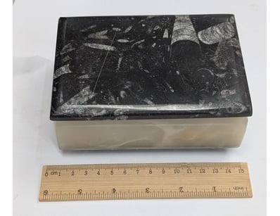 The Curio Collection (A999) - Lot 579