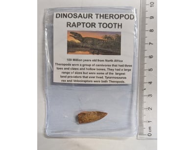 Antiques, Vintage & Interior Treasures (A1006) - Lot 8010