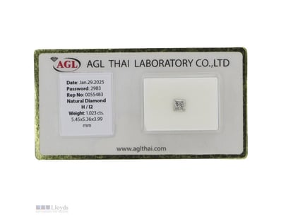 1.023CT CERTIFIED, NATURAL DIAMOND     

Princess ...