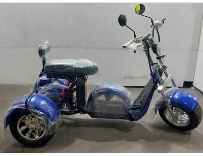 Electric Tricycles (NSWA1001) - Lot 8