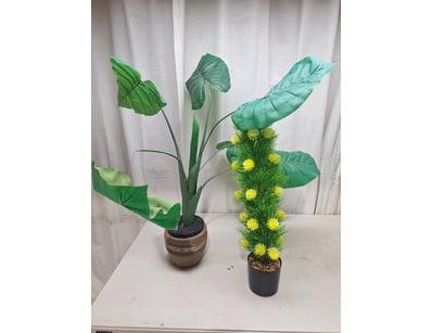 House & Homewares (A91000) - Lot 1768