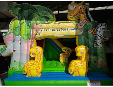 Pinballs, Arcades & Amusements (A1005) - Lot 91