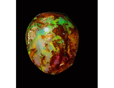 Opal Grandeur (A977) - Lot 1706