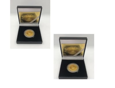 The Curio Collection (A992) - Lot 229