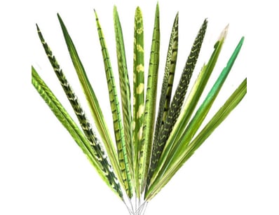 Sport, Leisure & Lifestyle (A980) - Lot 2189