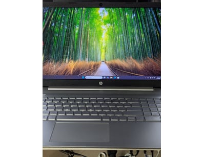 Mega Laptop & IT Liquidation Sale (ON11974) - Lot 14