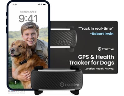 RRP $99 Tractive GPS Dog Tracker - Black - RETAIL ...