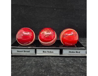 SINGLE VENDOR LIFETIME COLLECTION (A1001) - Lot 875