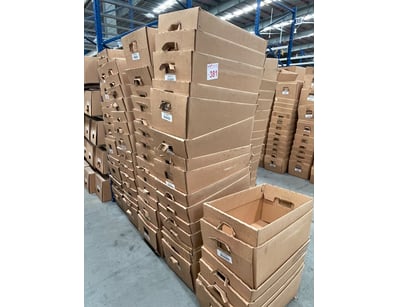 Retail Warehouse Fit Out Business Closure (ON4356) - Lot 381