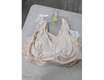 RRP $79.95 Trulife Barbara Bra, beige, various siz...