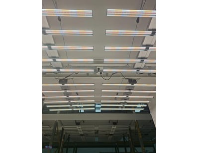 Commercial LED Grow Lights 

Professional hortic...