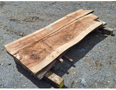 Hardwood Timber Slabs (ON4481) - Lot 4