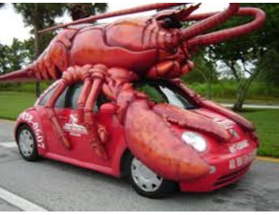 "Don't balance" Test auction , contact IT - Lot 19