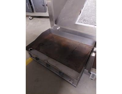 Roband Model 6/100 stainless steel commercial elec...