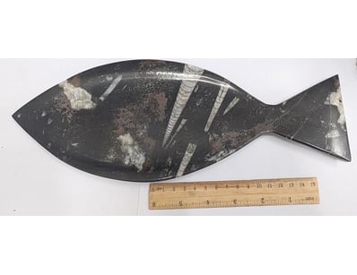 The Curio Collection (A999) - Lot 557