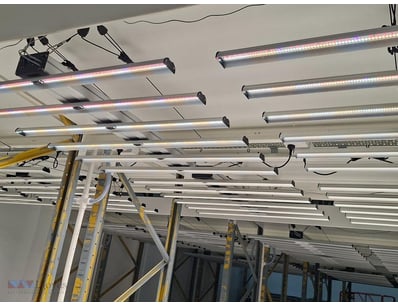Commercial LED Grow Lights 

Professional hortic...