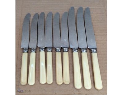 RARE RUSNORSTAIN 9 PIECE SET OF TABLE KNIVES 

By ...