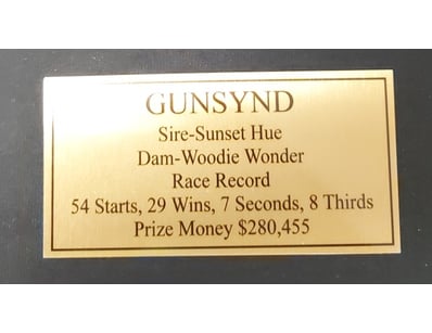 4X MEMORIAL PLAQUE AUSTRALIAN RACE HORSE GUNSYND

...