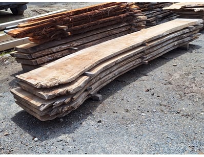 Hardwood Timber Slabs (ON4481) - Lot 6