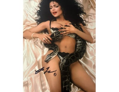 Mancave & Memorabilia (A982) - Lot 1906