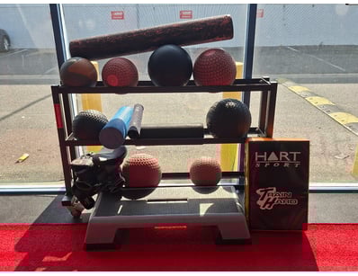 Gym Equipment Liquidation (ON11749) - Lot 85