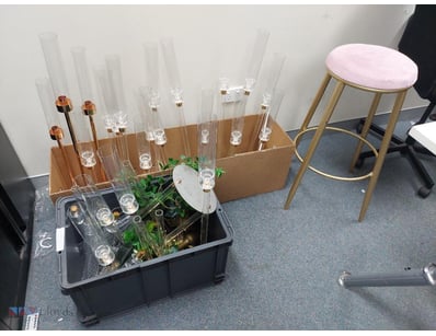 Modern decorative candelabra display featuring a p...