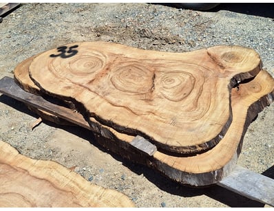 Hardwood Timber Slabs (ON4481) - Lot 36