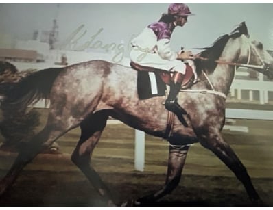 Mancave & Memorabilia (A988) - Lot 1008