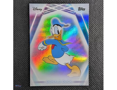 DONALD DUCK RAINBOW FOIL PARALLEL – #196

Key Spec...