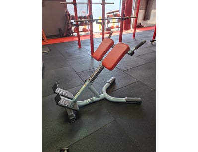 Gym Equipment Liquidation (ON11749) - Lot 51