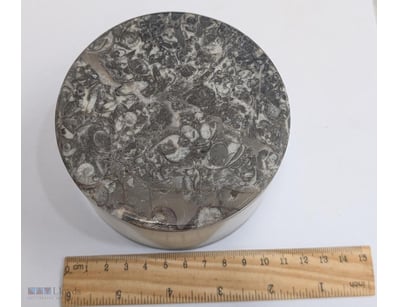 STORAGE BOTTLE MADE FROM 400 MILLION YEAR OLD FOSS...