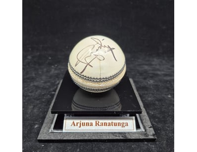 SINGLE VENDOR LIFETIME COLLECTION (A1001) - Lot 948